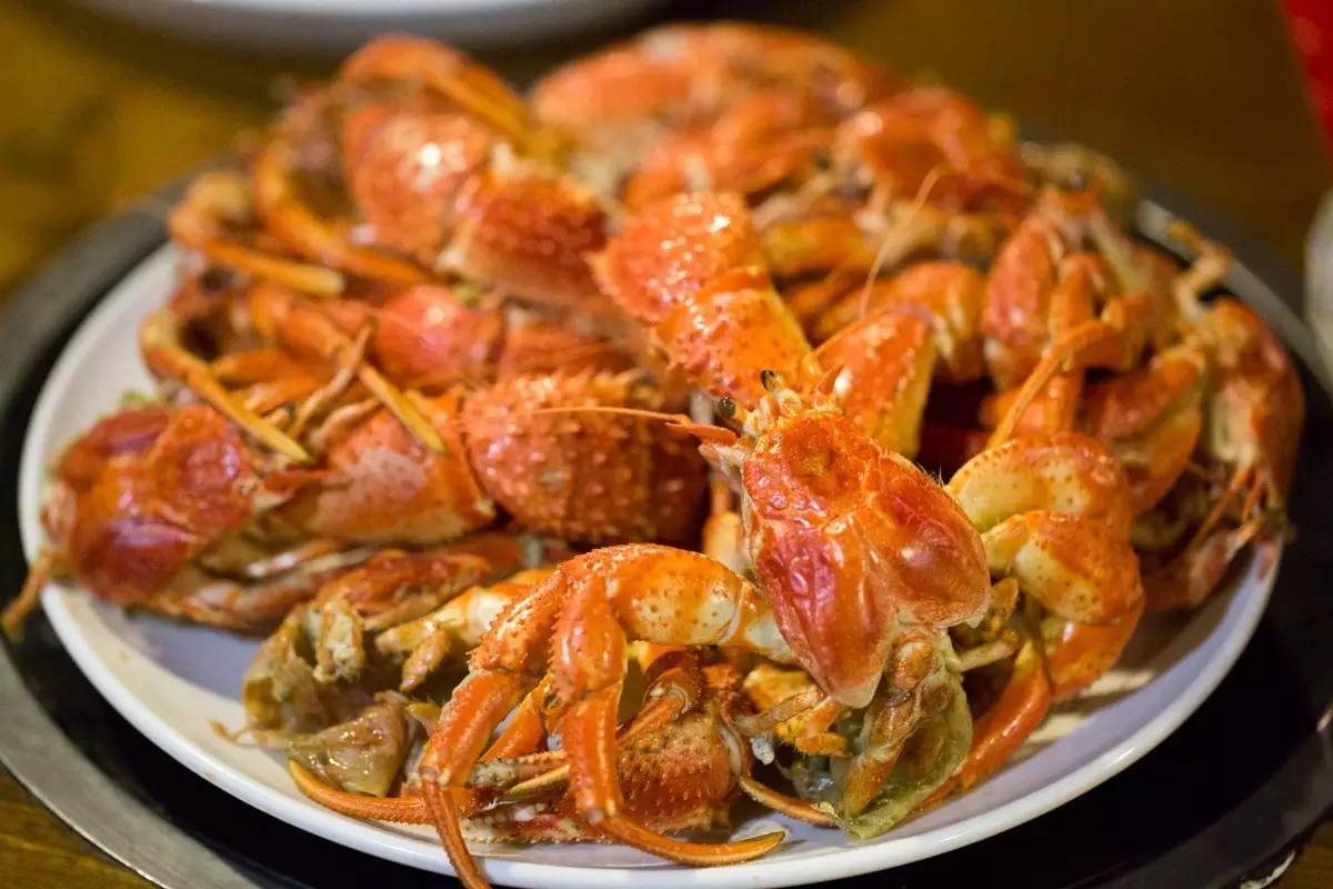 大连海洋馆搬运动物,大连海鲜搬运工