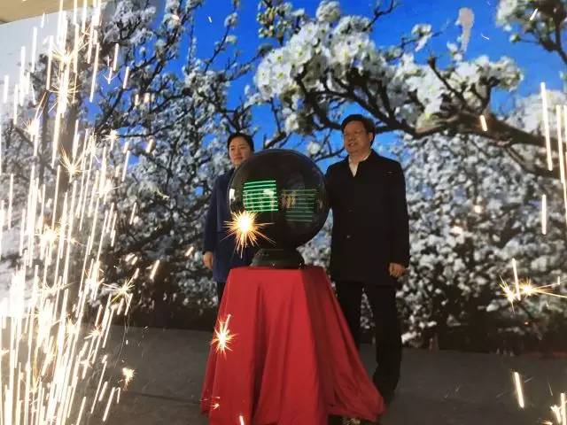 树山只差一个你丨梨花年年开,好玩的却不同