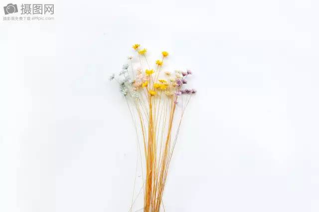 最新贵阳高中排名一览表,2017贵阳高中排名榜