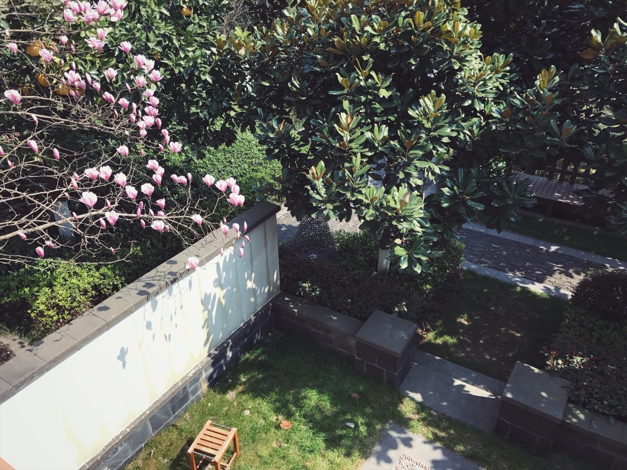 春天没胃口是什么原因,换季没胃口试试这道下饭菜