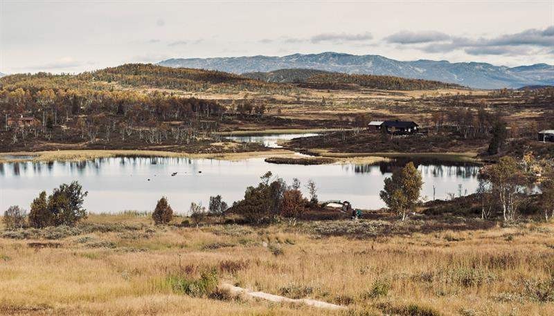 挪威夏日岛旅游攻略,挪威夏天攻略