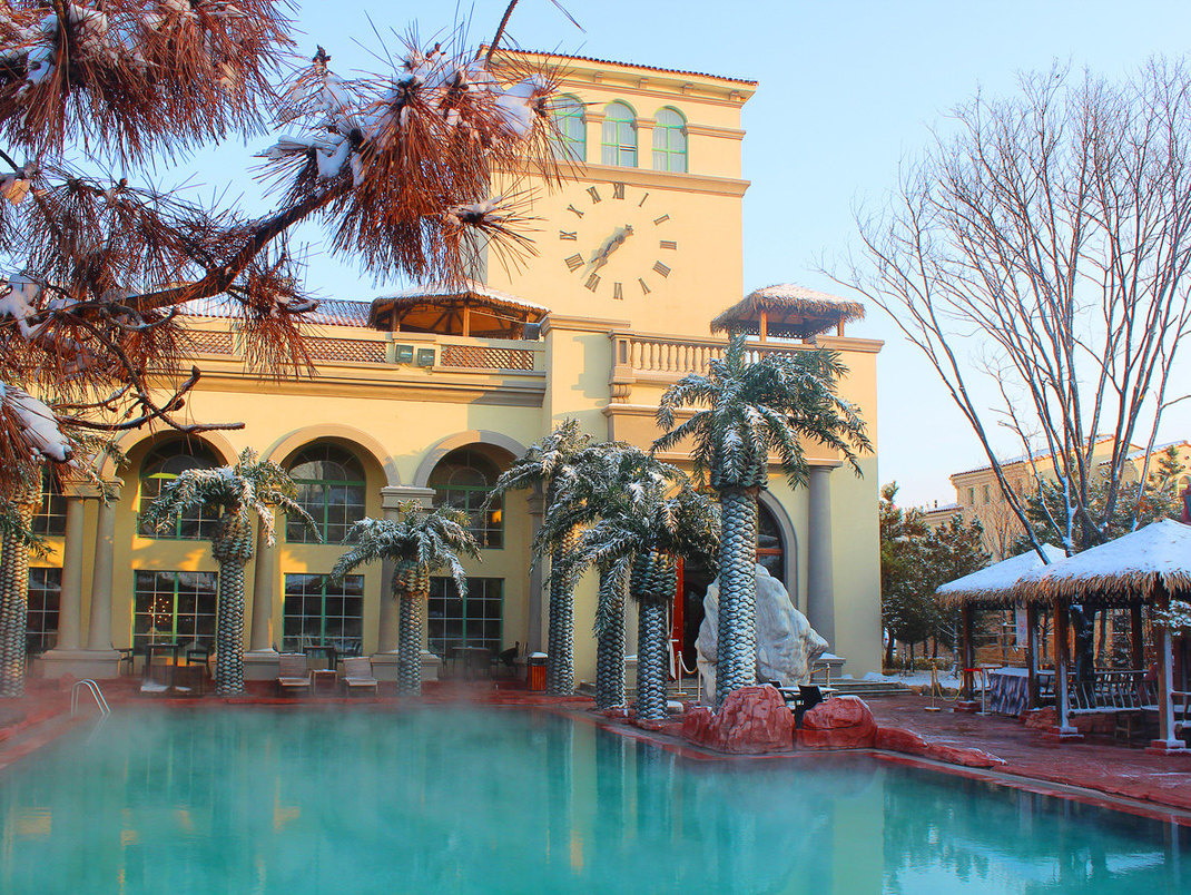 驴小妹的全部视频,驴小妹的奇妙旅行