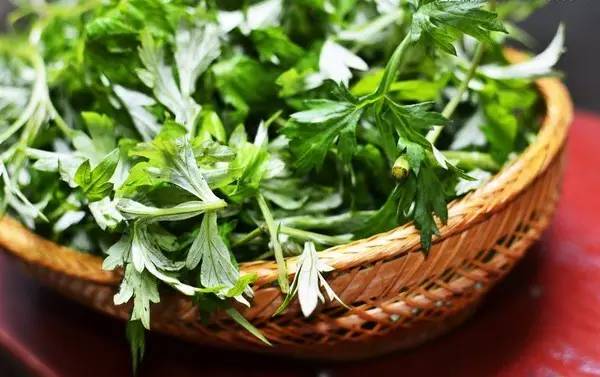 艾草精油去眼袋黑眼圈方法,去黑眼圈最有效的方法艾叶