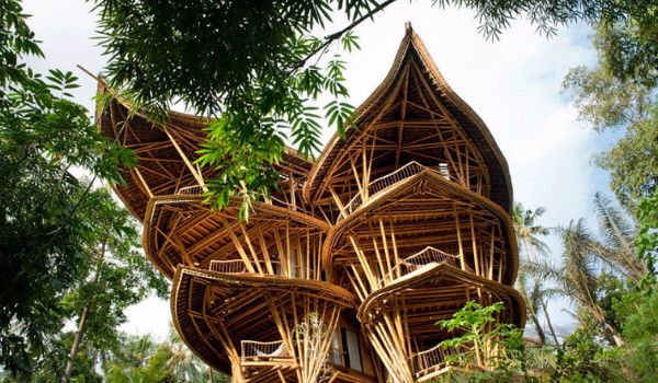 鏀惧純鍥藉楂樿柂鍥炲浗鍐滄潙鎵庢牴,鏀惧純楂樿柂璺戝埌娣卞北