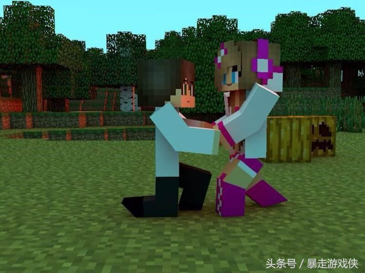 我的世界开发游戏的发展过程,我的世界的游戏攻略创造心得