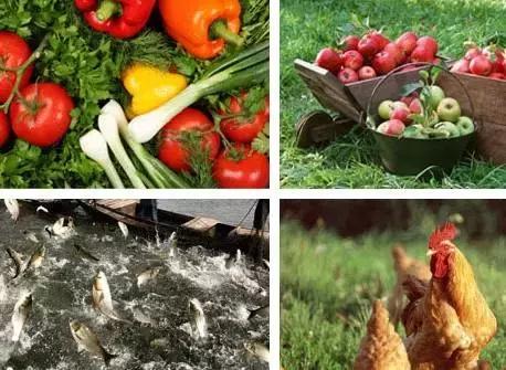 生活中的潜规则怎么处理,在生活中有许多规则