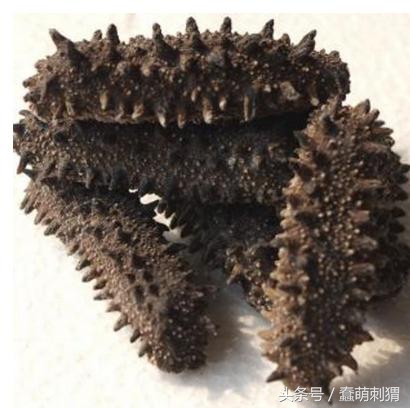 孕妇吃的感冒食品,孕妇也能吃的海参