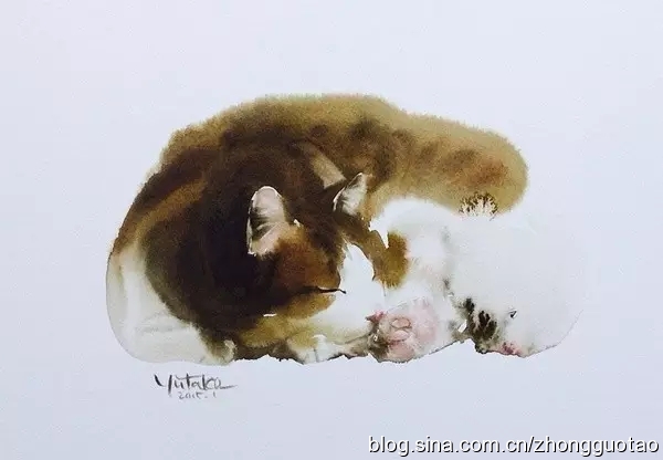 国画水墨写意猫,中国画水墨画猫