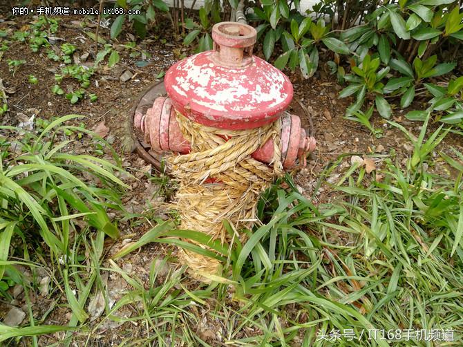 华为nova青春版评价,华为nova青春版1999元