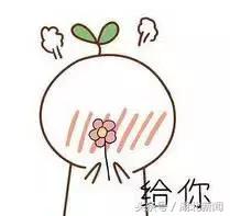 只剩最后几天，还不赶紧赏花！小心后悔一年！