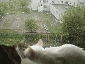 男人惹女生生气的高情商句子,男人故意惹你生气刺激你的表现