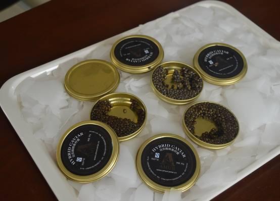 吃鲟鱼、泡温泉、赏美景、玩陶艺···完美周末就这么简单！