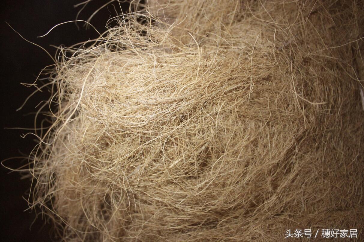 椰棕床垫与山棕的区别,床垫椰棕和麻棕哪个好