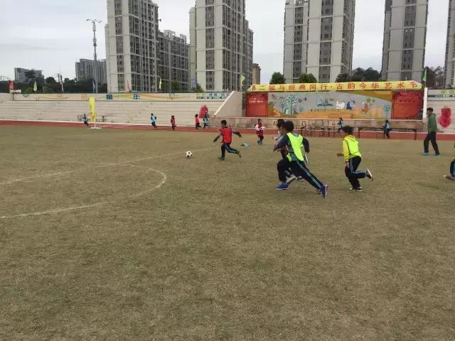 肇庆市全国特色学校,肇庆市足球特色学校