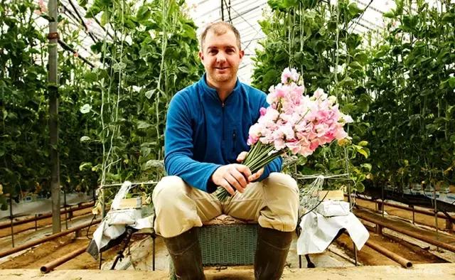 花艺行业如何借力发展,花艺行业发展现状