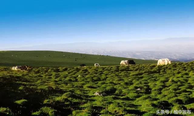 榆中有什么好风景,榆中美景最好的地方