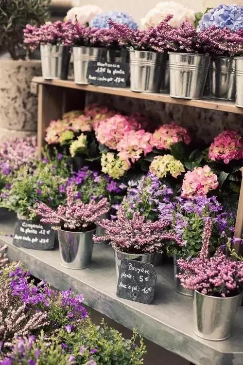 花店行业市场行情状况,开花店如何去看行业趋势