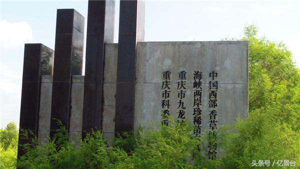 九龙坡网红景点有哪些,九龙坡十大必去景点免费