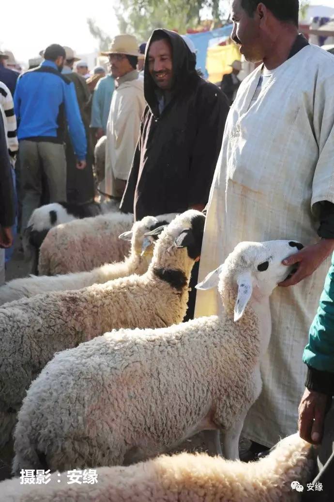 娌欐紶閲岀殑鐨囧,娌欐紶閲岀殑鐜嬪