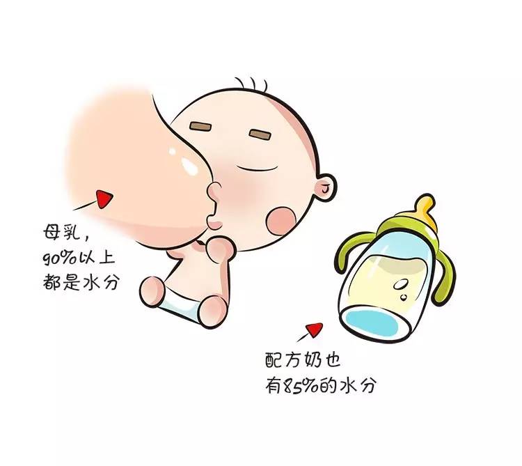 6个月宝宝需要喝水吗,6个月宝宝不喝水有什么妙招