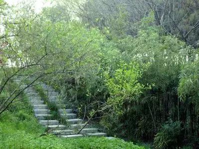 致镇江第一中学：我凭什么忘不了你