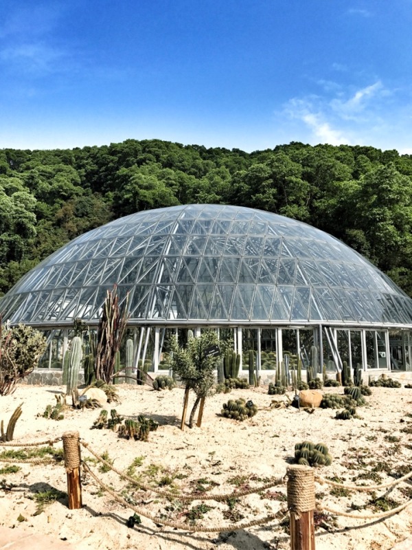 深圳有什么好玩的地方呢,深圳有什么好玩的地方适合小孩