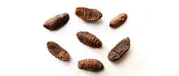 胡说中医基础理论29,胡说中医要点笔记