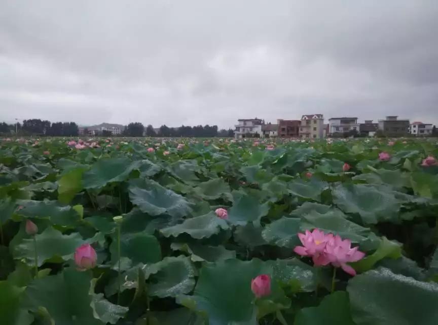 中港澳旅行,从广东出发环中国游路线