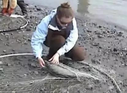 海竿浮漂的正确选择与使用,浮漂选择和看漂技巧