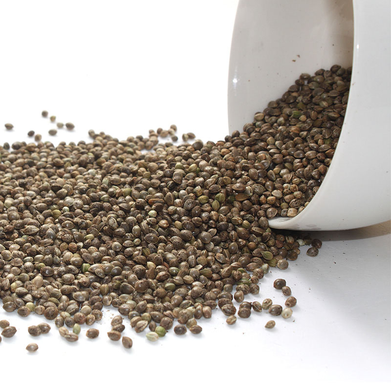 长寿巴马火麻,长寿之乡的巴马火麻