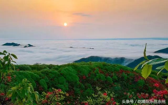 好看的美景推荐第一名,美丽的阳明山处处是美景