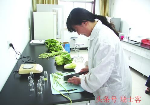 农业创业商机大全,农业十大风口商机