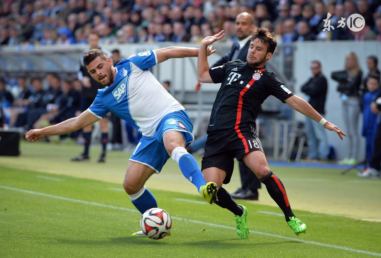 最新任九场胜负彩分析,胜负彩任九23115期冷热指数