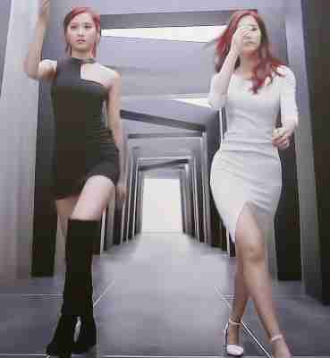 养了一只猫5年最后它变成了野猫,我原来养过一只猫情感语录