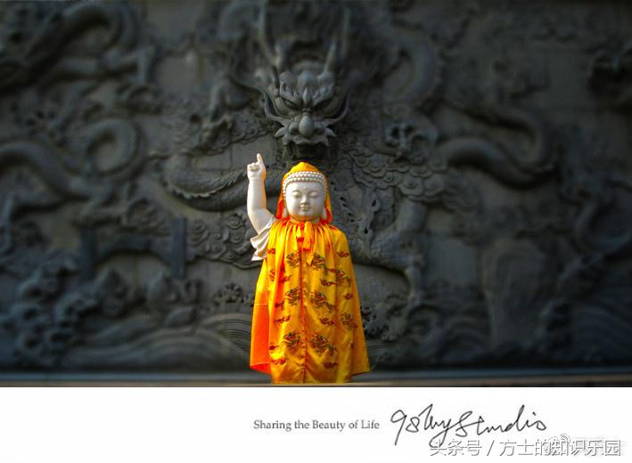 一切荣耀属于元老院（网络小说十大奇书第一名《临高启明》）