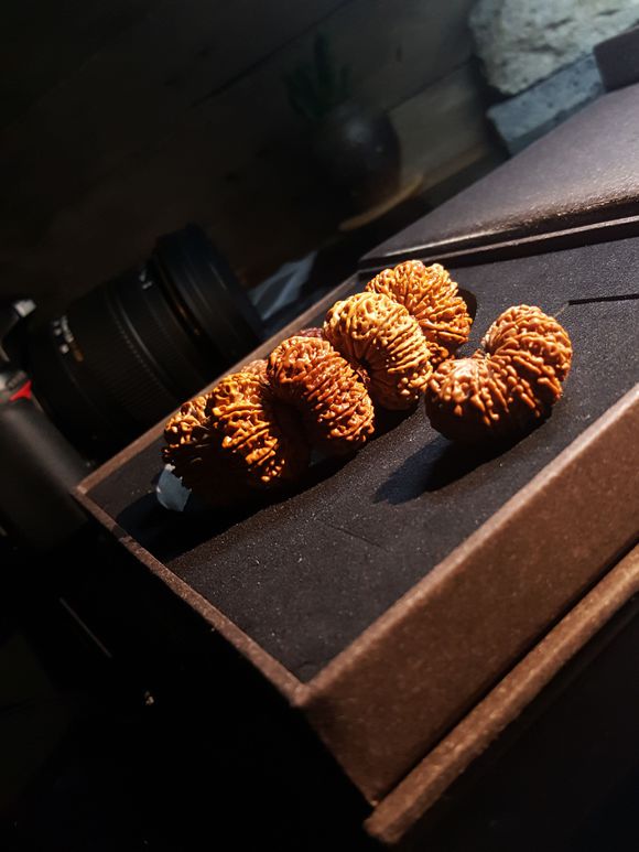 七瓣金刚和落地红的区别,金刚菩提落地红和真的区别