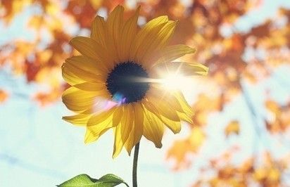 期货快讯24小时,期货新闻最快推送