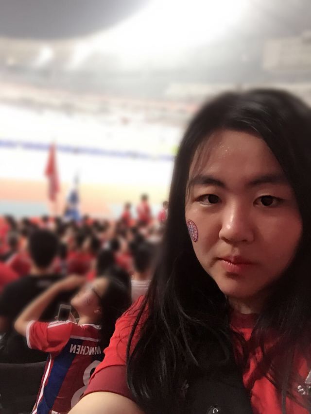 南部之星球迷版,南部之星慕尼黑