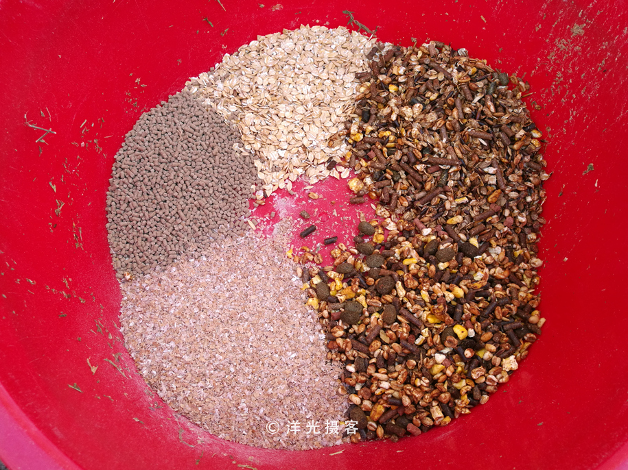 为什么迪拜土豪最有钱,真正的迪拜土豪