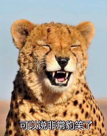 自律智能机,智商税智能设备