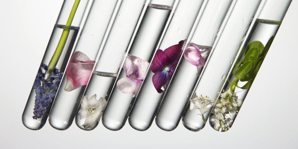 ECO-FRIENDLY：天然純淨有機選