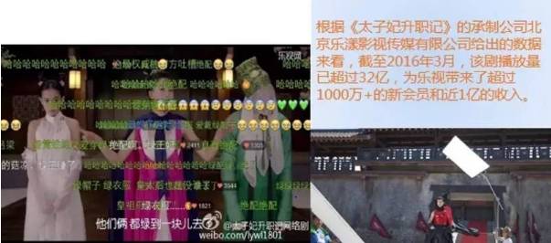 吐槽玩不起多肉的人,吐槽玩不起的人视频