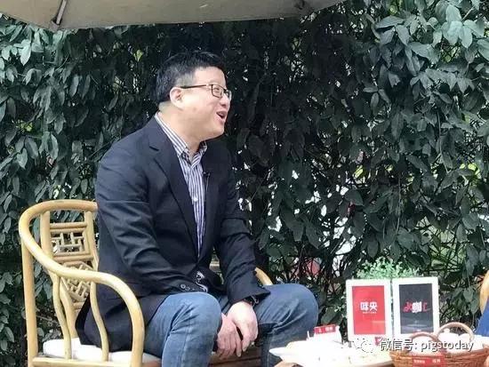 丁磊谈养猪视频,丁磊高科技养猪