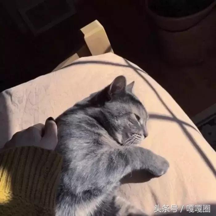 好久不见我们还在一起吗,好久不见和姐妹约会