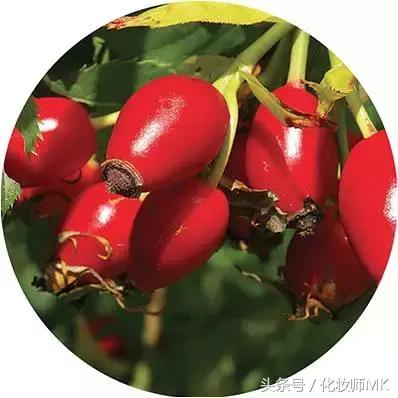 这几类护肤品千万别买,这几样护肤品千万不要买