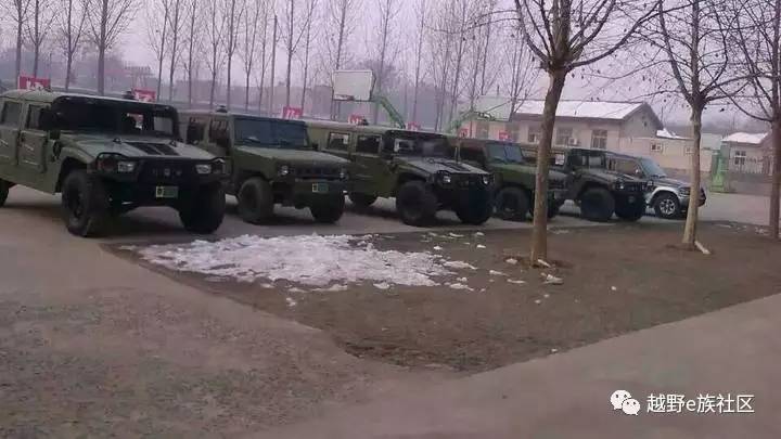 陪伴是最长情的告白——我和切诺基的故事