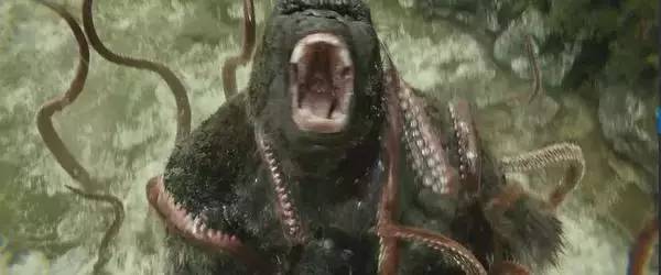 哪里能看到金刚骷髅岛,金刚骷髅岛神秘大揭秘