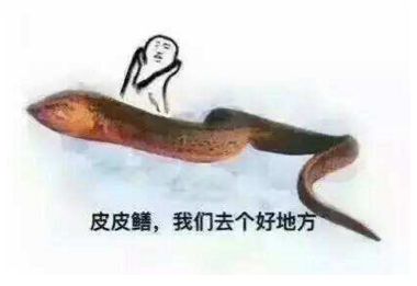 同一个账号在火山和抖音同时直播,同样是直播