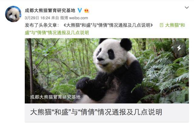 桌边社20170331：该有的都是配对出现的