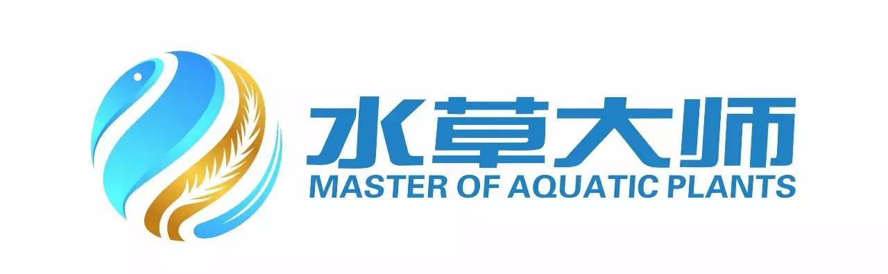 水草缸造景大师视频大全,水草造景大师